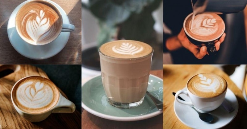 Cortado X other Coffee Drinks: How is it different?