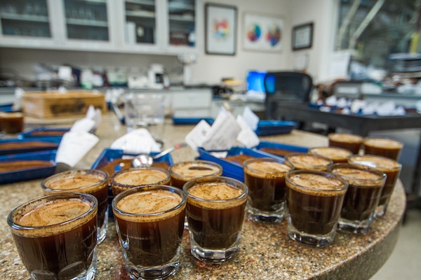 The Importance of Coffee Distributor Consistency