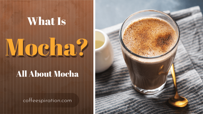 What Is Mocha_ All About Mocha
