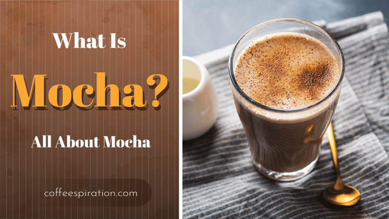 what-is-mocha-all-about-mocha