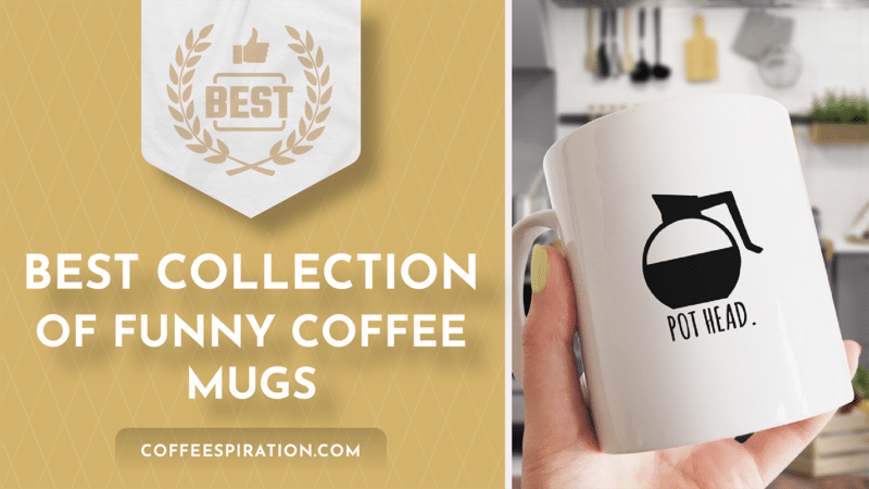 Best Collection of Funny Coffee Mugs To Gift Your Loved Ones In 2022