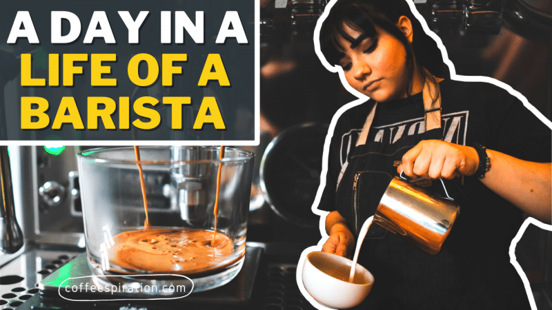 A Day In A Life of A Barista