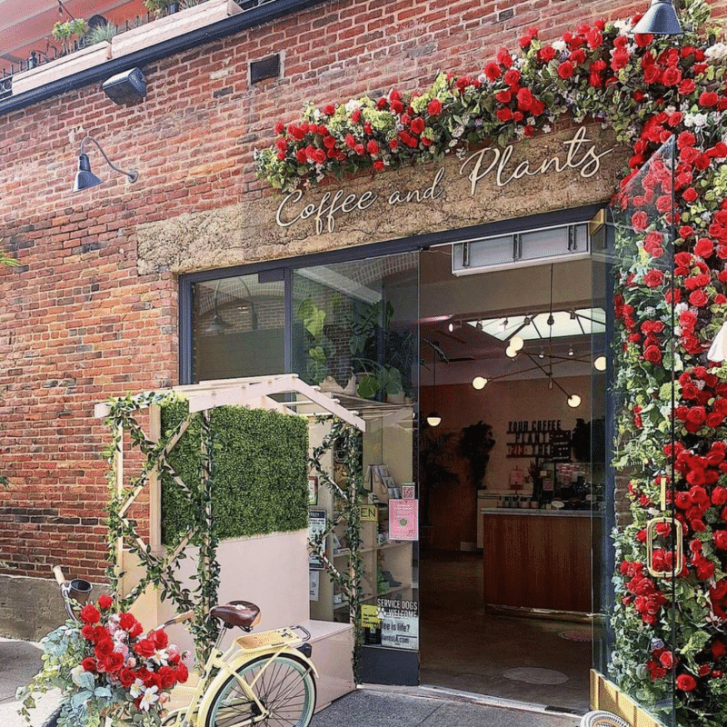 Coffee and Plants