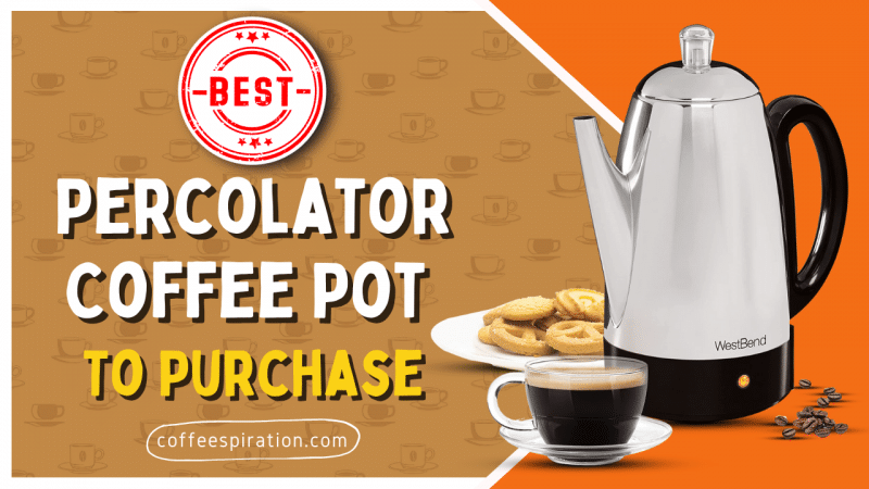 Best Percolator Coffee Pot To Purchase in 2022