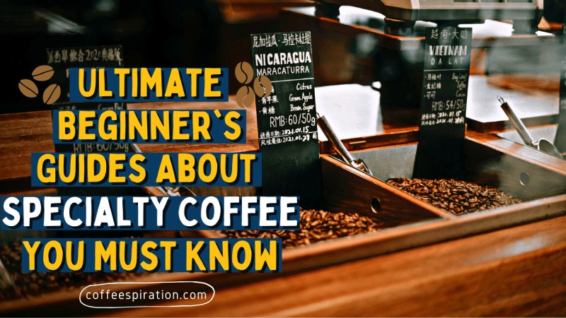Ultimate Beginner's Guides About Specialty Coffee You Must Know