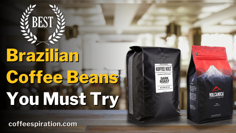 Best Brazilian Coffee Beans You Must Try in 2022