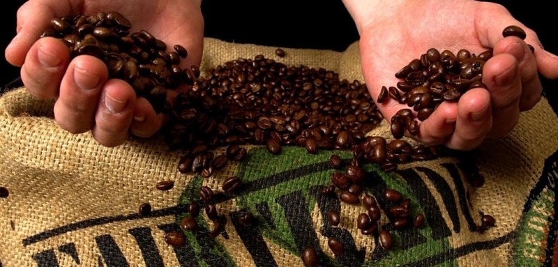 Is fair trade coffee better? 