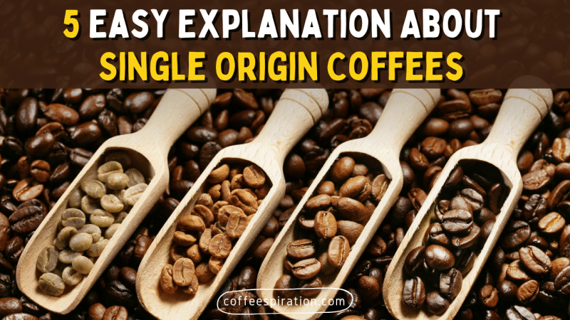 5 Easy Explanation About Single Origin Coffees