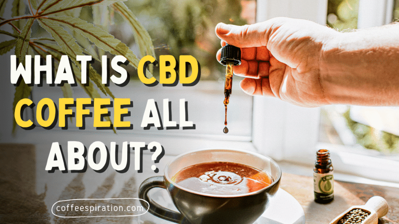 What Is CBD All About