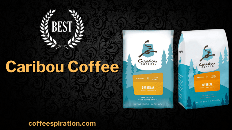 Best Caribou Coffee in 2023