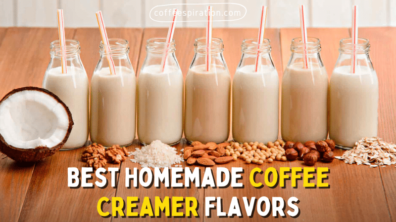 Best Homemade Coffee Creamer Flavors