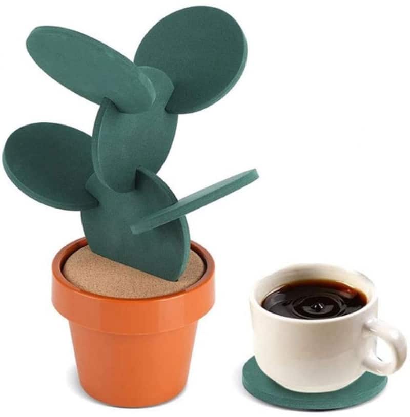 10. Buery Store Cactus Coasters